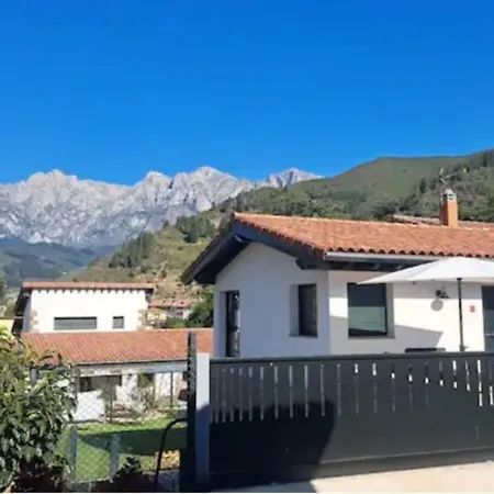 Mirando A Picos De Europa