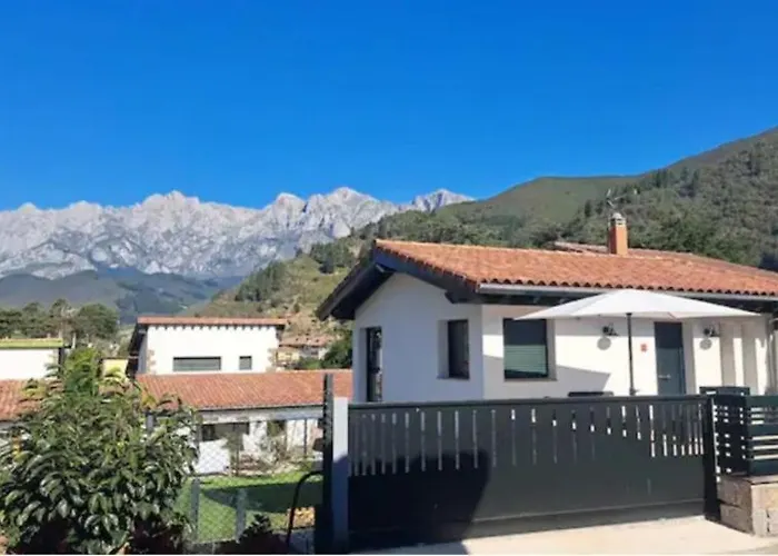 Mirando A Picos De Europa